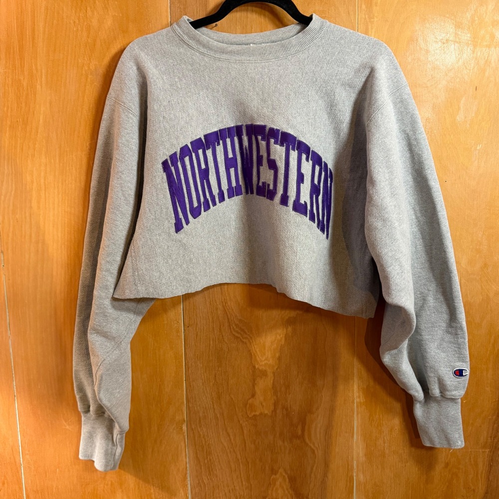Champion Vintage Northwestern University Cropped Sweatshirt Gray XL